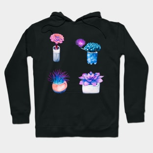 succulents in a pot Hoodie